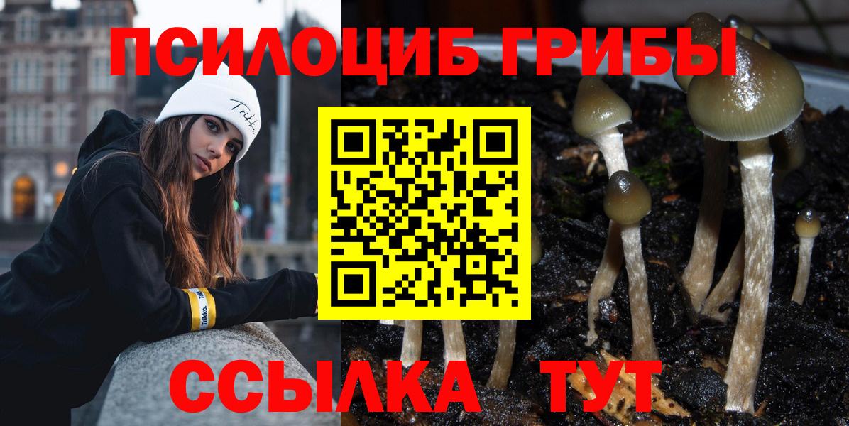 Псилоцибиновые грибы Magic Shrooms Гусиноозёрск