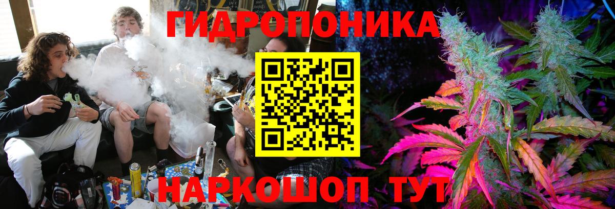 Бошки марихуана планчик  Конопля сатива  МАРИХУАНА White Widow  Вход с VPN  Марихуана тримм  Гусиноозёрск 
